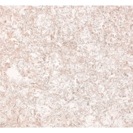 PX3168粉红罗莎