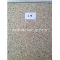 湖北黄金麻大黄