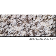 虎皮白G619