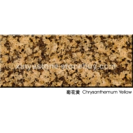 菊花黄