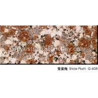 雪里梅G608