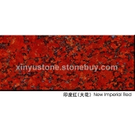 印度红（大花）