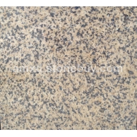 新矿诺尔金光板