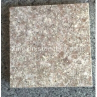 福建香槟黄宁德地区供应