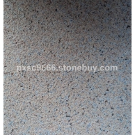 沙漠棕荔枝面 (2)