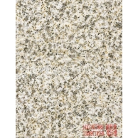 黄金麻（浅色光面)