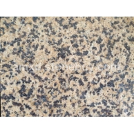 4号新矿诺尔金1