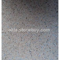 沙漠棕荔枝面 (2)