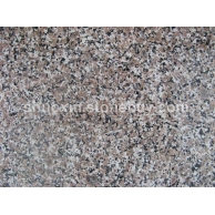 五莲花 光面 中花1