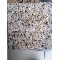 金钻麻 荔枝面