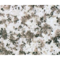 大白花 石材
