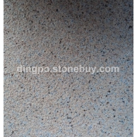 沙漠棕荔枝面 (2)