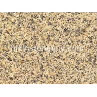 黄金麻大黄光面