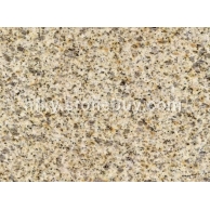 黄金麻中黄光面