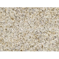 黄金麻中黄荔枝面