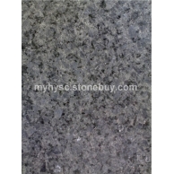 冰花兰（冰花蓝）1