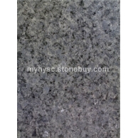 冰花兰（冰花蓝）