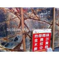 雨林金