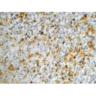 锈石荔枝面 HY系列 白