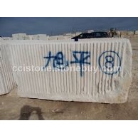 葡萄牙木化石