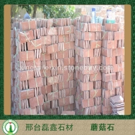 高粱红蘑菇石