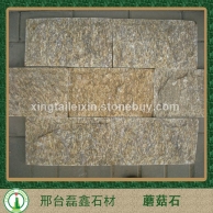 芝麻黄－蘑菇石