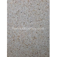 黄锈石荔枝枝面