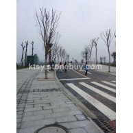 芝麻灰,芝麻白地铺石