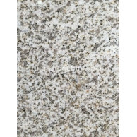 黄金麻（中黄）2