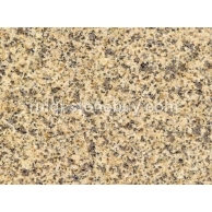 黄金麻大黄光面