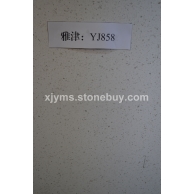 雅津牌：YJ858