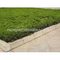 五莲红 花坛石 安装