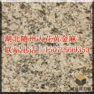 湖北随州大花黄金麻卡基诺金大花黄金钻紫点金麻金钻麻光面中黄