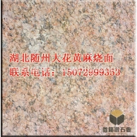 湖北随州大花黄麻卡基诺金紫点金麻黄金钻烧面