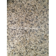 黄金麻大黄光面