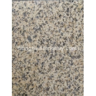 黄金麻大黄光面2