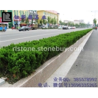 五蓮紅磨光路邊石