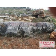 优质大块龟纹石 龟纹石主产地 龟纹石质量优 价格低