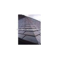 china_roof_tile20098171557313