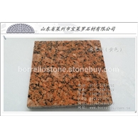 染色板 红色染色板