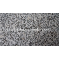 现货莱州青，欢迎选购！