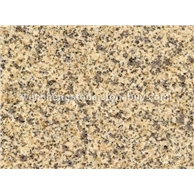 黄金麻大黄光面