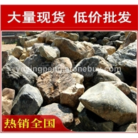 廠家直銷深圳中山形態各異青石，風景石