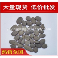 廠家直銷深圳江陰樓盤景觀鵝卵石濾料