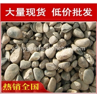 廣東天然鵝卵石，形態(tài)各異廣東鵝卵石大量現(xiàn)貨批發(fā)