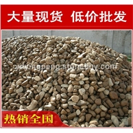 廣東天然鵝卵石，小區(qū)景觀廣東鵝卵石大量現(xiàn)貨批發(fā)