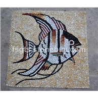 C6扇魚