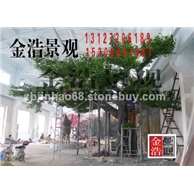 菏泽假树仿真景观水泥假树生态园大树