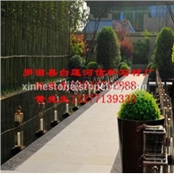 芝麻灰铺地烧面