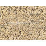 黄金麻大黄光面